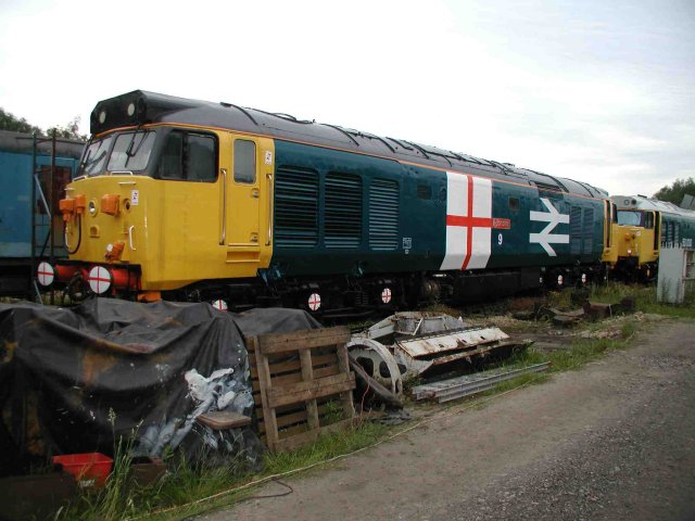 50029 in World Cup livery